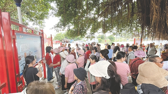 崖門鎮(zhèn)橫水村吸引大批灣區(qū)游客前來(lái)游玩、采購(gòu)農(nóng)產(chǎn)品。