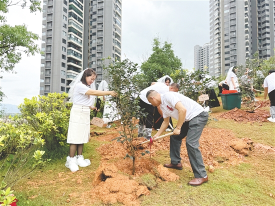 新人們前往福美山公園植樹區(qū)，以植樹添綠的方式見證愛情，寓意愛意永恒、相守白頭。