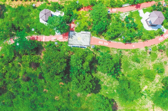 綠意盎然的生態(tài)小公園。