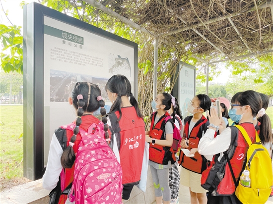 小記者們邊走邊看，感受江海城市品質提升。