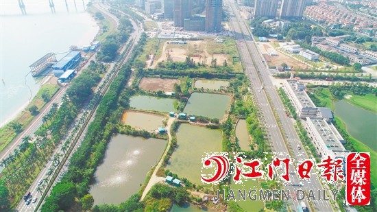 濱江大道旁地塊實景圖。