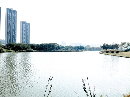 近年來，江門居住環(huán)境越來越好。