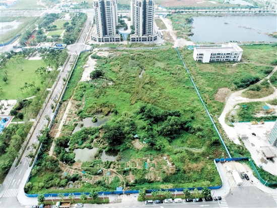 編號為JCR2024-164（江海10）號的商住用地位于江海區(qū)35號地規(guī)劃五路和龍湖路交界東南側(cè)。