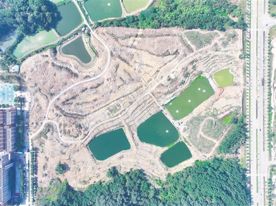 本次競(jìng)拍的蓬江24、25、26號(hào)地為相連地塊。