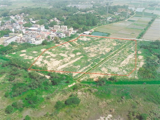 江門市JCR2025-55（臺(tái)山07）號(hào)地。