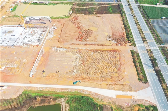 江門市JCR2025-65（開平06）號地。