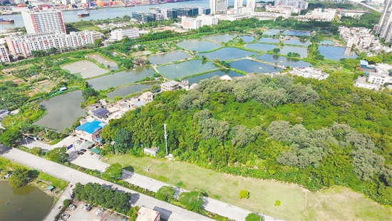 江門市JCR2025-148（蓬江22）號(hào)地。