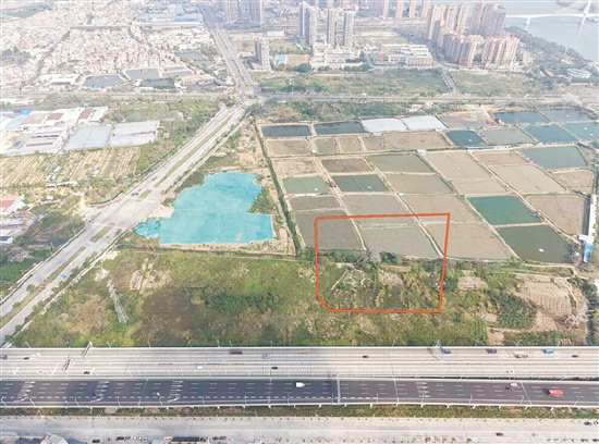 江門市JCR2026-54（江海01）號(hào)地。