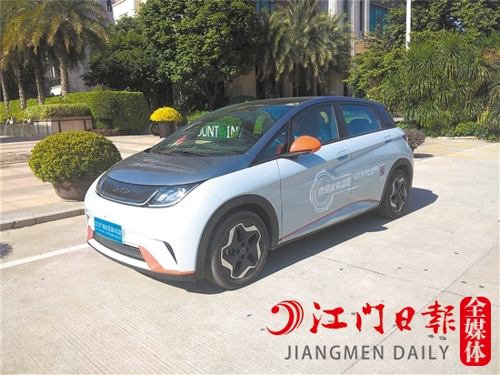 海豚外觀年輕、可愛。