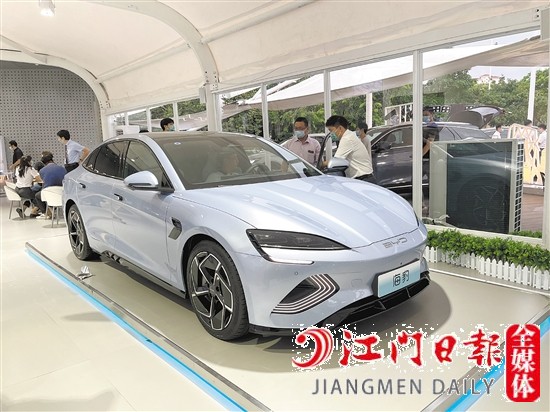 海豹外觀年輕運(yùn)動(dòng)。