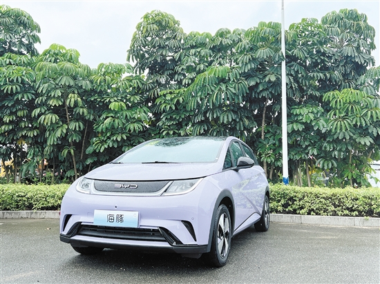 2023款海豚外觀及內(nèi)飾。